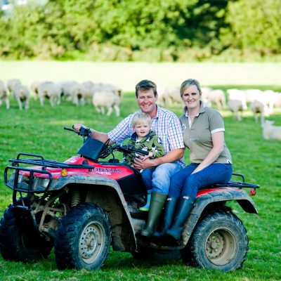 NSA Welsh Sheep 2013