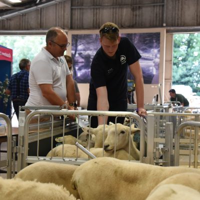 Next Generation Young Shepherd