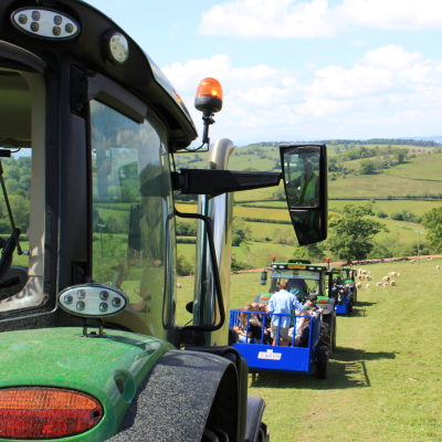 Farm Tours