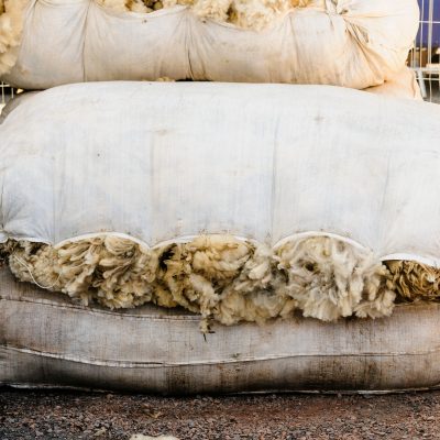 Fleece Competition