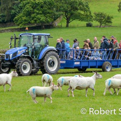 NSA North Sheep 2019