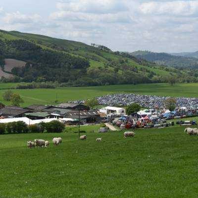 NSA Welsh Sheep 2023