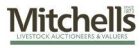 Mitchells Auction Co Ltd