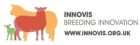 Innovis Limited