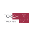 Torch Farm Vets